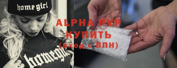 спиды Новозыбков