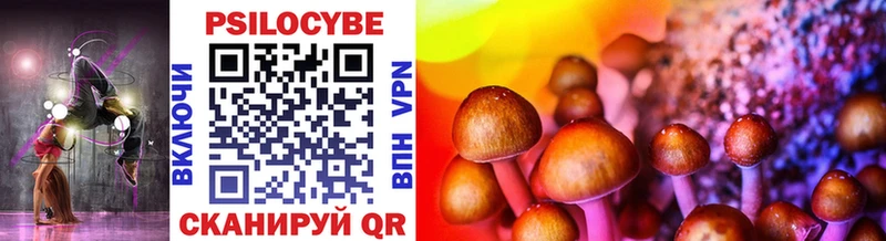 Псилоцибиновые грибы Psilocybe Трёхгорный